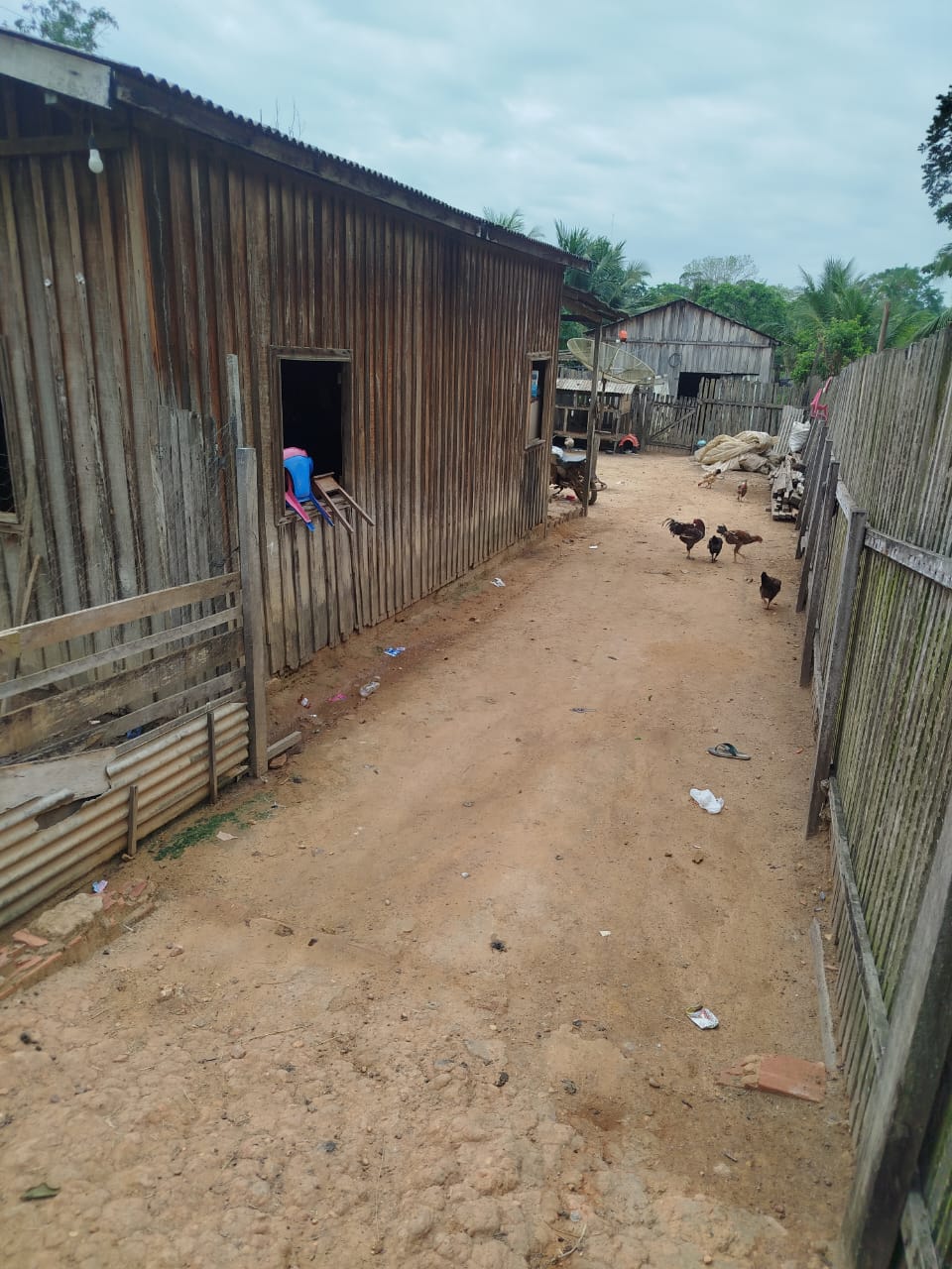 Terreno com Horta e Duas Casas à Venda - Bairro Baixada!